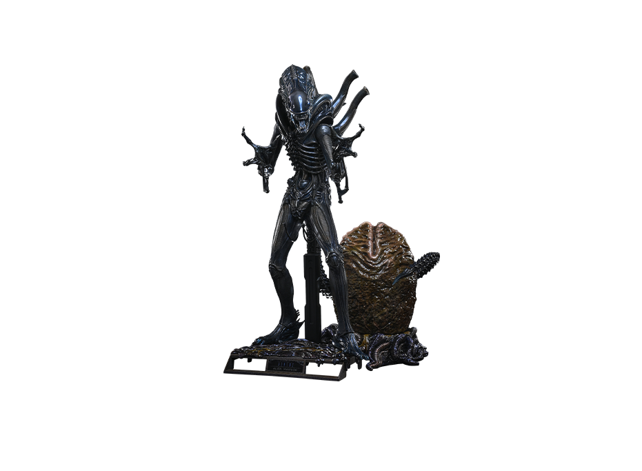 Hot Toys MMS899 - Aliens - Alien Warrior【Pre-Order】