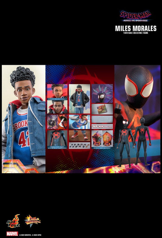 Hot Toys MMS710 - Marvel Comics - Spider Man : Across The Spider Verse - Miles Morales
