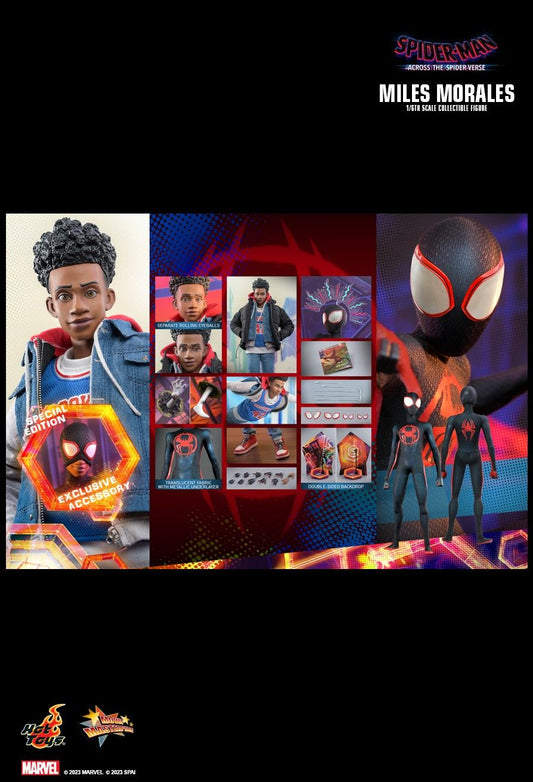 Hot Toys MMS710B - Marvel Comics - Spider Man : Across The Spider Verse - Miles Morales Deluxe version