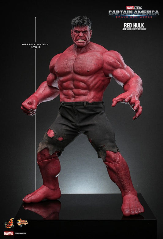Hot Toys MMS797 - Marvel Comics - Captain America : Brave New World - Red Hulk Thaddeus Ross 【Pre-Order】