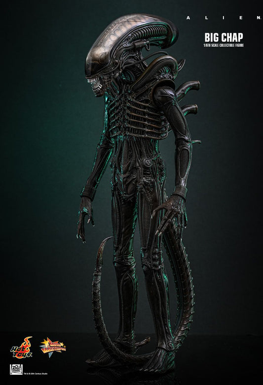 Hot Toys MMS826B - Alien - Big Chap 【Pre-Order】