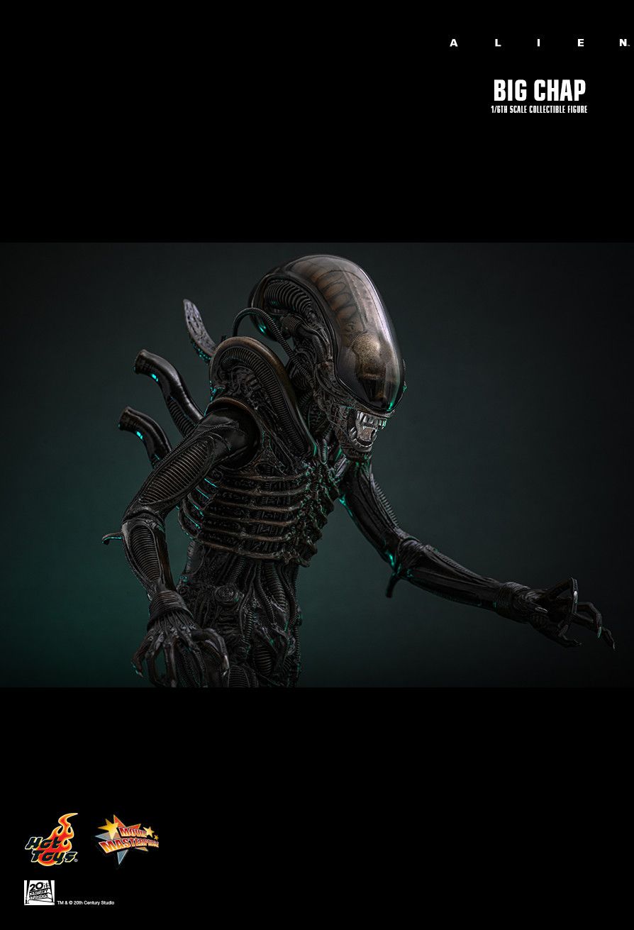 Hot Toys MMS826B - Alien - Big Chap 【Pre-Order】