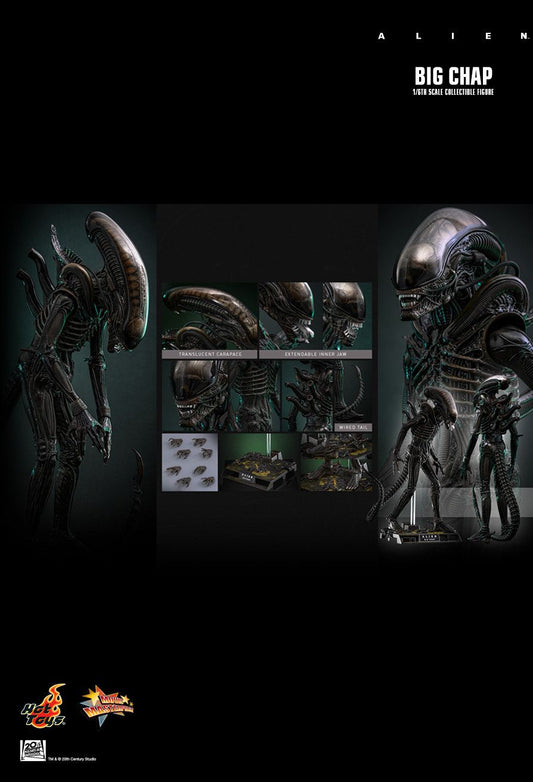 Hot Toys MMS826 - Alien - Big Chap 【Pre-Order】