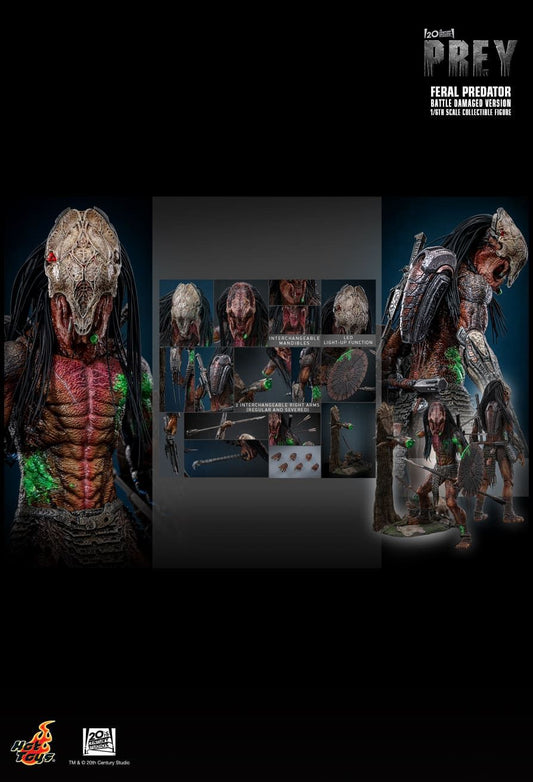 Hot Toys TMS173 - Prey - Feral Predator Battle Damaged Version【Pre-Order】