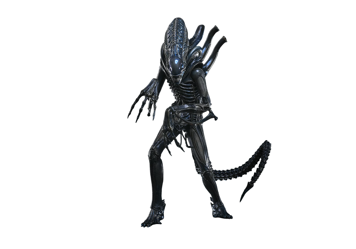 Hot Toys MMS898 - Aliens - Alien Warrior【Pre-Order】