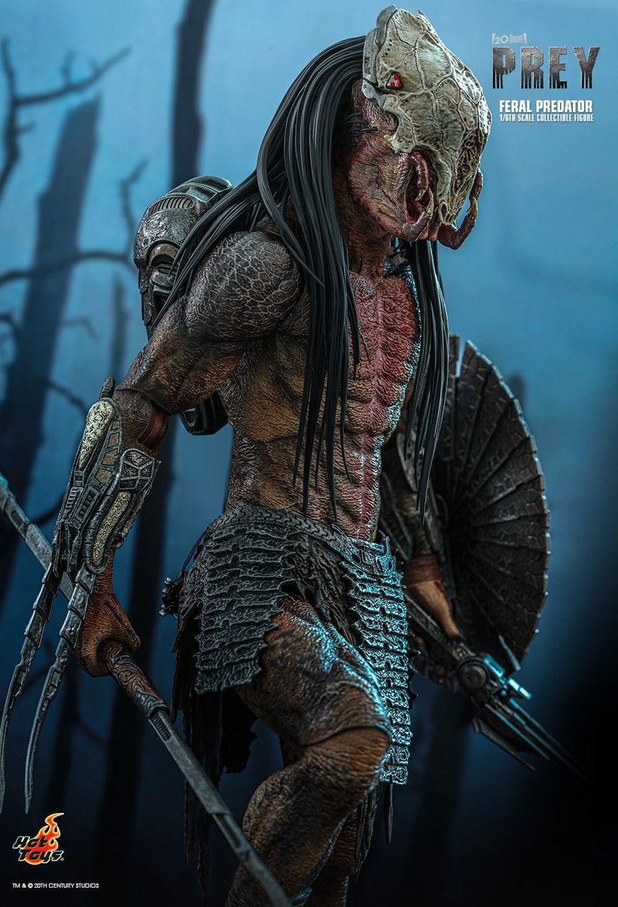 Hot Toys TMS114 - Prey 2022 - Feral Predator【Pre-Order】