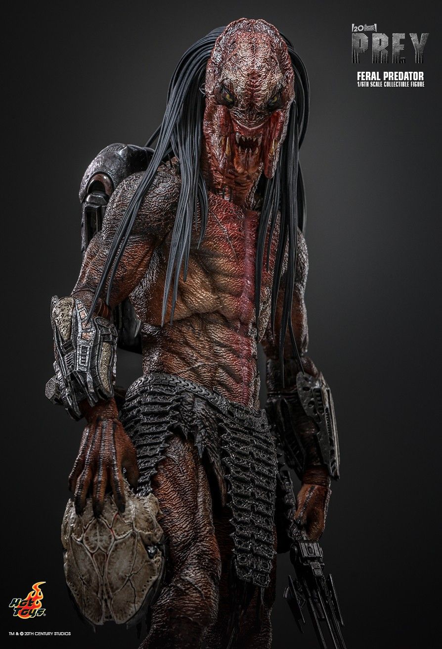 Hot Toys TMS114 - Prey 2022 - Feral Predator【Pre-Order】