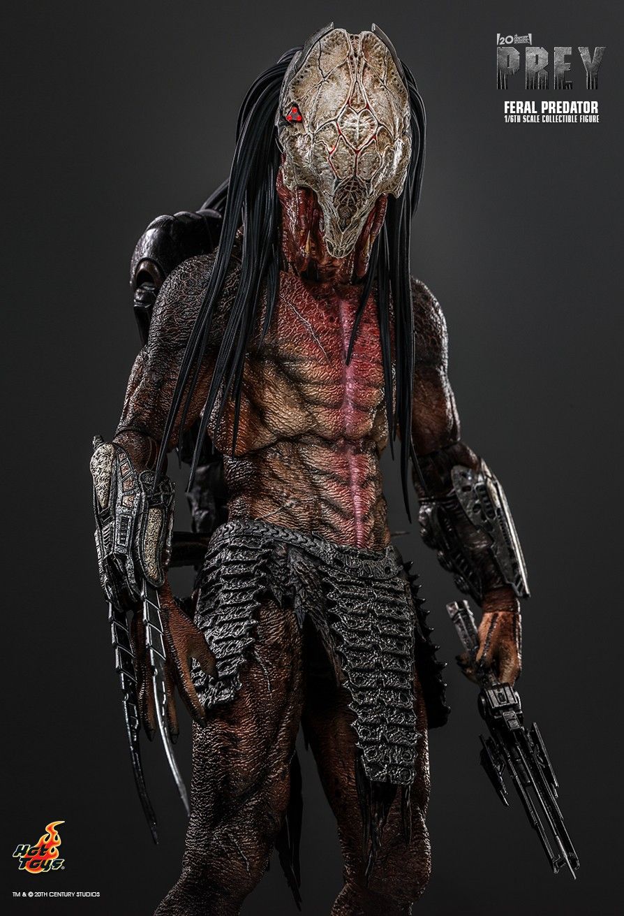 Hot Toys TMS114 - Prey 2022 - Feral Predator【Pre-Order】