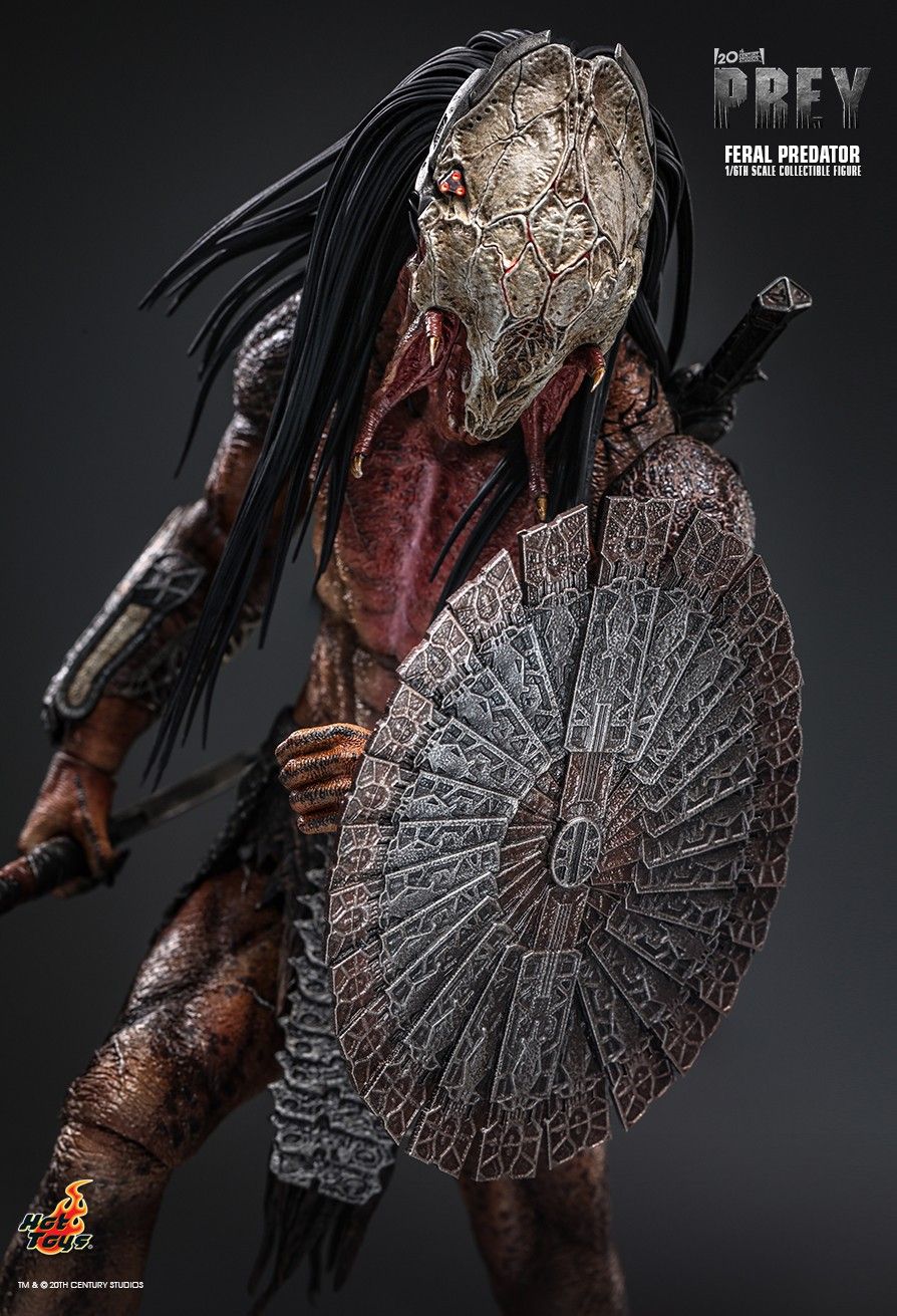 Hot Toys TMS114 - Prey 2022 - Feral Predator【Pre-Order】