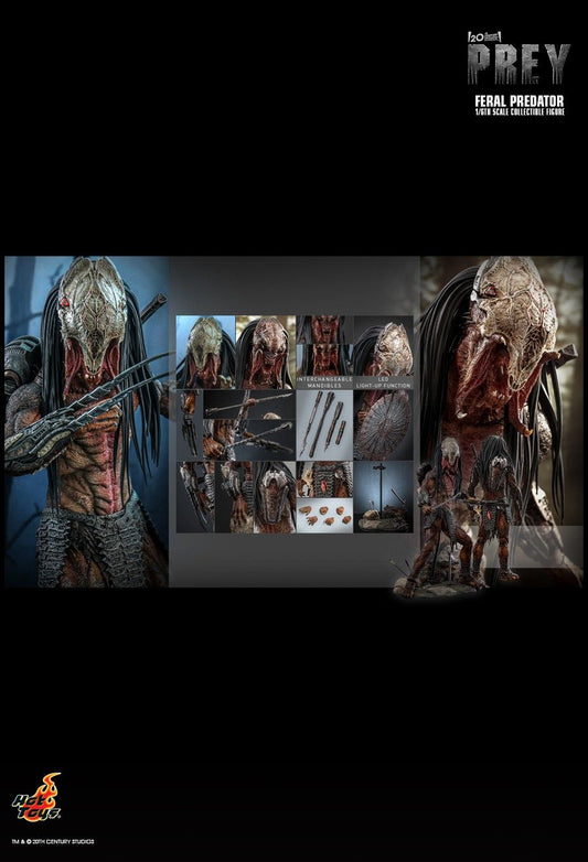 Hot Toys TMS114 - Prey 2022 - Feral Predator【Pre-Order】