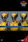 Hot Toys MMS754 - Marvel Comics - Deadpool & Wolverine - Wolverine Deluxe Version【Pre-Order】