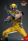 Hot Toys MMS753 - Marvel Comics - Deadpool & Wolverine - Wolverine【Pre-Order】