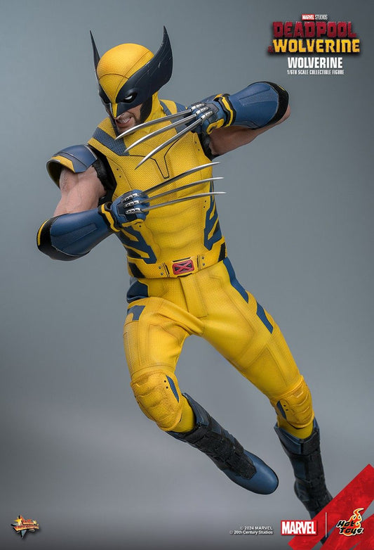 Hot Toys MMS753 - Marvel Comics - Deadpool & Wolverine - Wolverine【Pre-Order】