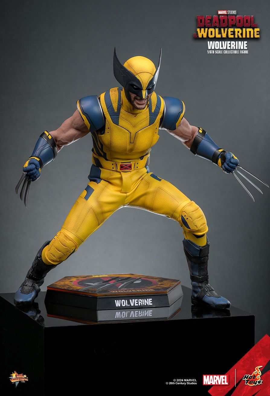 Hot Toys MMS753 - Marvel Comics - Deadpool & Wolverine - Wolverine【Pre-Order】