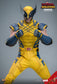 Hot Toys MMS753 - Marvel Comics - Deadpool & Wolverine - Wolverine【Pre-Order】