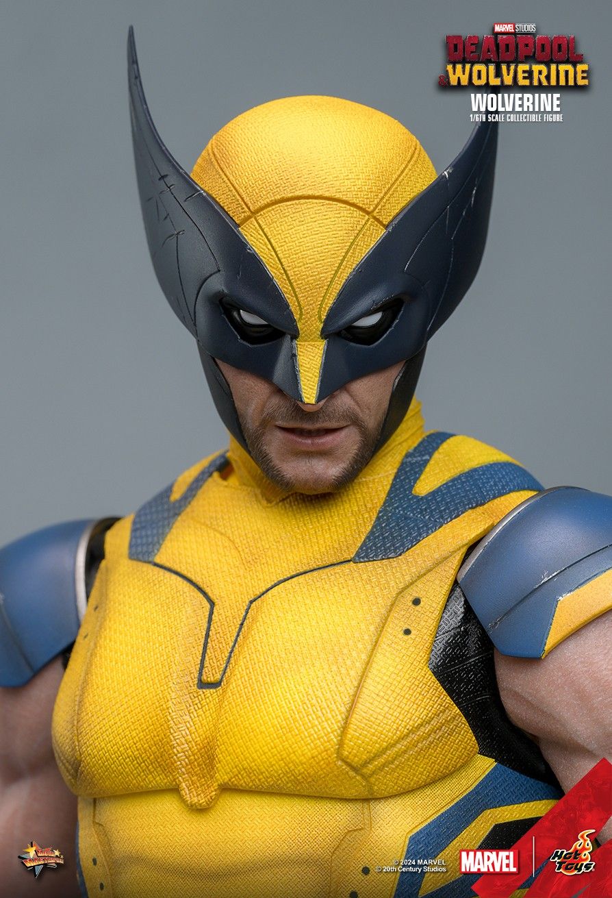 Hot Toys MMS753 - Marvel Comics - Deadpool & Wolverine - Wolverine【Pre-Order】