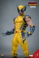 Hot Toys MMS753 - Marvel Comics - Deadpool & Wolverine - Wolverine【Pre-Order】