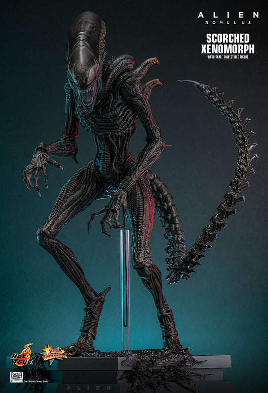 Hot Toys MMS784 - Alien : Romulus - Scorched Xenomorph【Pre-Order】