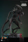 Hot Toys MMS784 - Alien : Romulus - Scorched Xenomorph【Pre-Order】