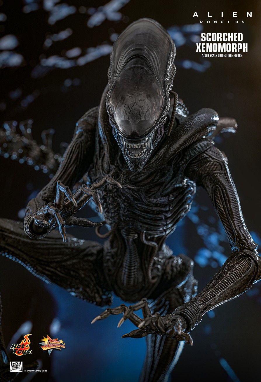 Hot Toys MMS784 - Alien : Romulus - Scorched Xenomorph【Pre-Order】