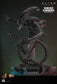 Hot Toys MMS784 - Alien : Romulus - Scorched Xenomorph【Pre-Order】