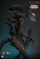 Hot Toys MMS784 - Alien : Romulus - Scorched Xenomorph【Pre-Order】