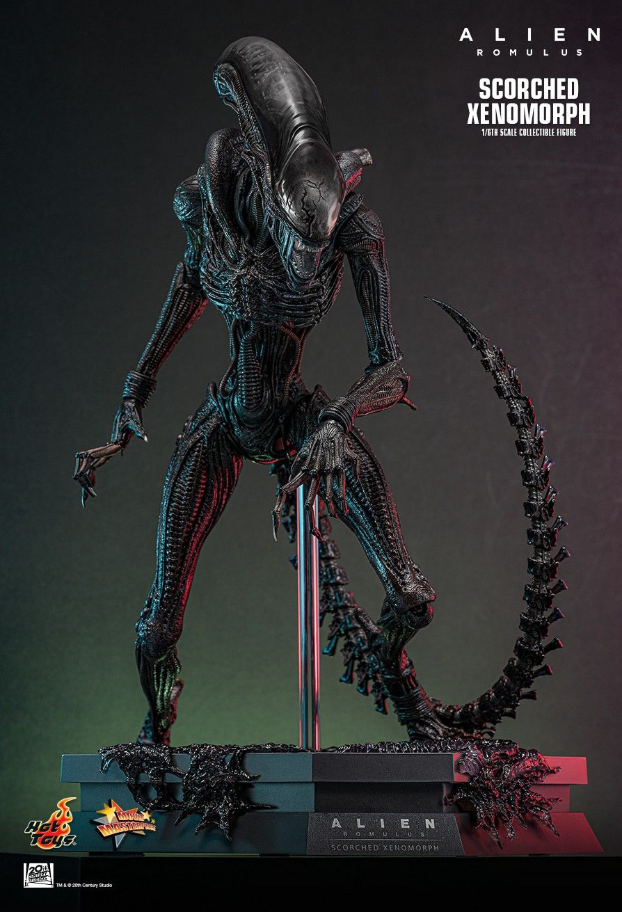 Hot Toys MMS784 - Alien : Romulus - Scorched Xenomorph【Pre-Order】