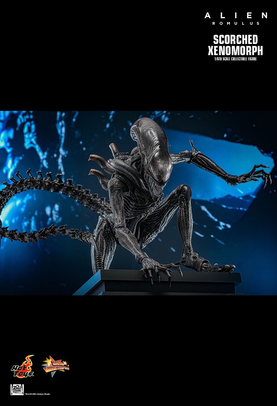 Hot Toys MMS784 - Alien : Romulus - Scorched Xenomorph【Pre-Order】