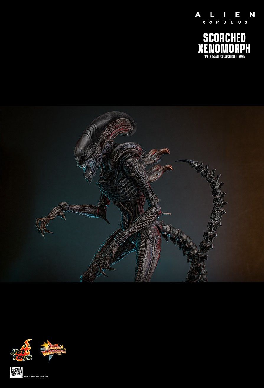 Hot Toys MMS784 - Alien : Romulus - Scorched Xenomorph【Pre-Order】