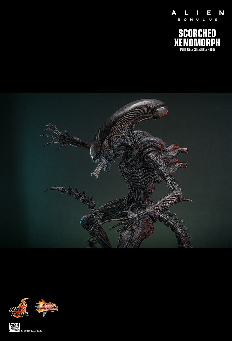 Hot Toys MMS784 - Alien : Romulus - Scorched Xenomorph【Pre-Order】