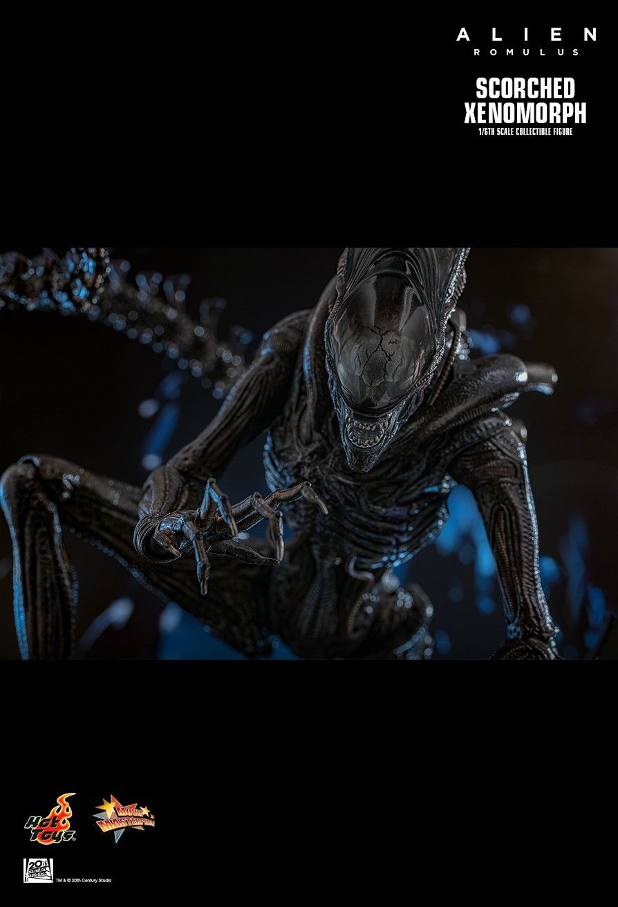 Hot Toys MMS784 - Alien : Romulus - Scorched Xenomorph【Pre-Order】