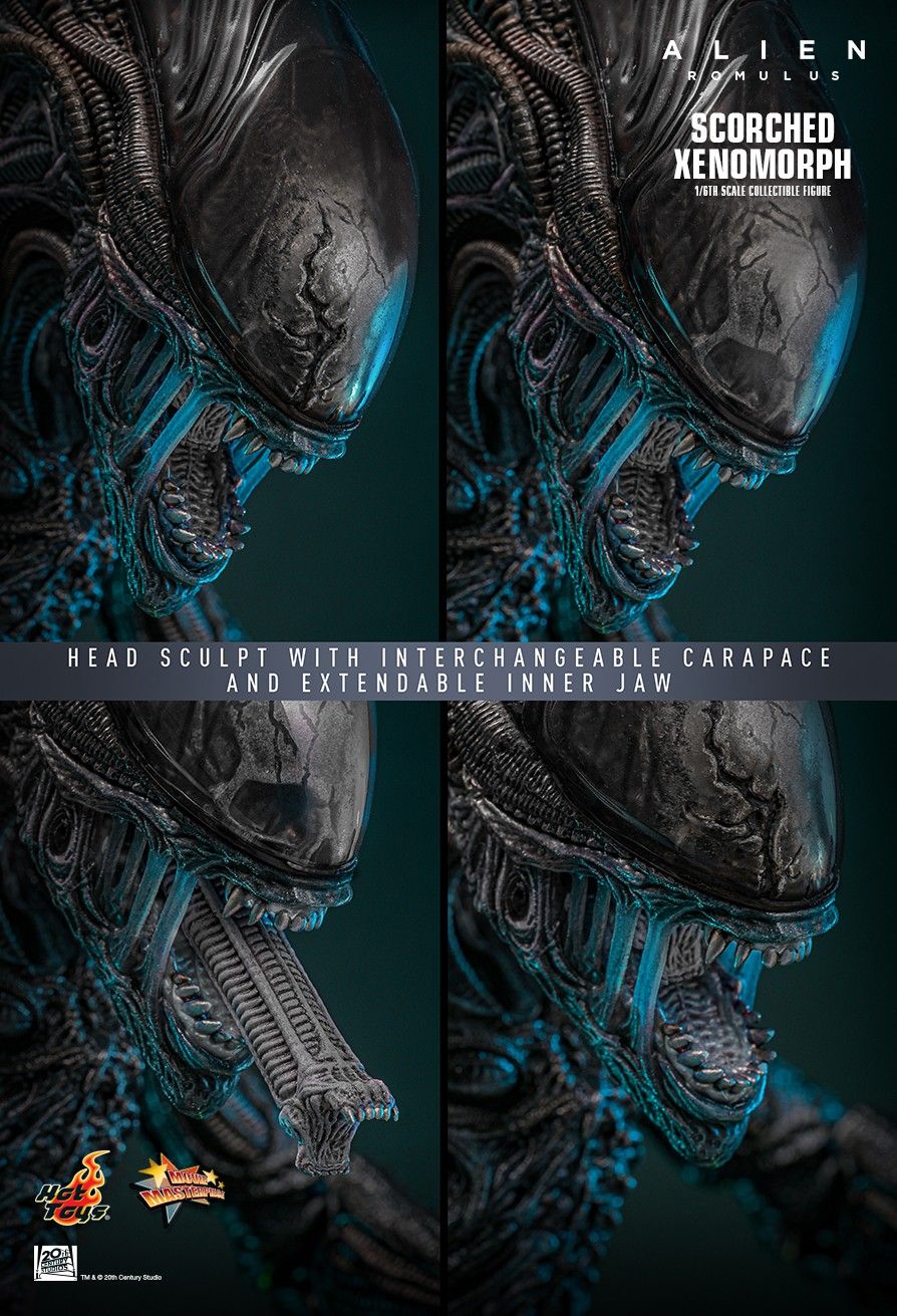 Hot Toys MMS784 - Alien : Romulus - Scorched Xenomorph【Pre-Order】