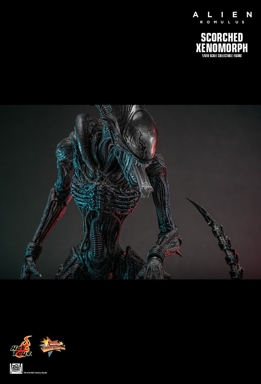 Hot Toys MMS784 - Alien : Romulus - Scorched Xenomorph【Pre-Order】