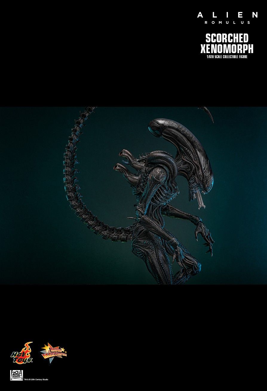 Hot Toys MMS784 - Alien : Romulus - Scorched Xenomorph【Pre-Order】