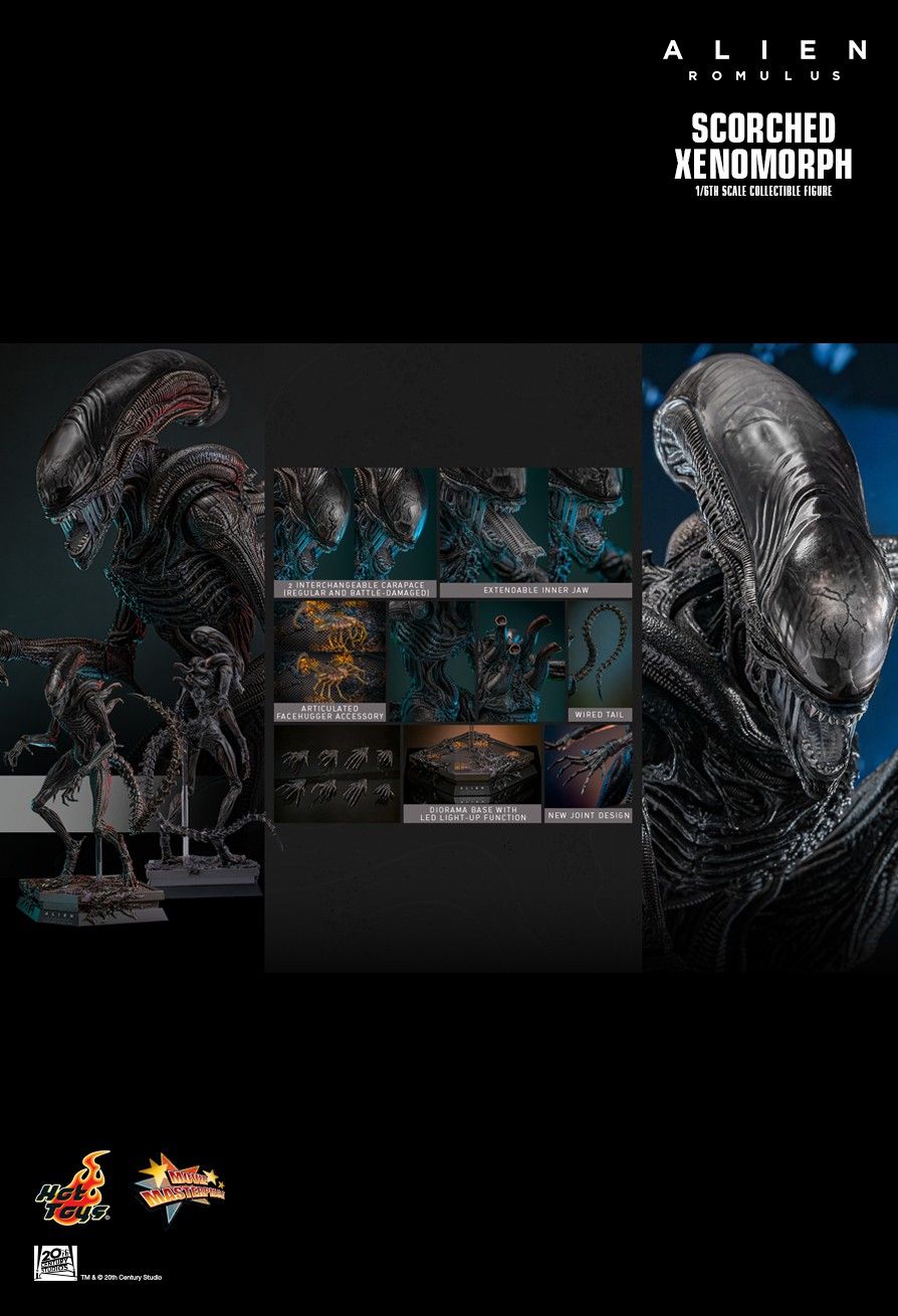 Hot Toys MMS784 - Alien : Romulus - Scorched Xenomorph【Pre-Order】