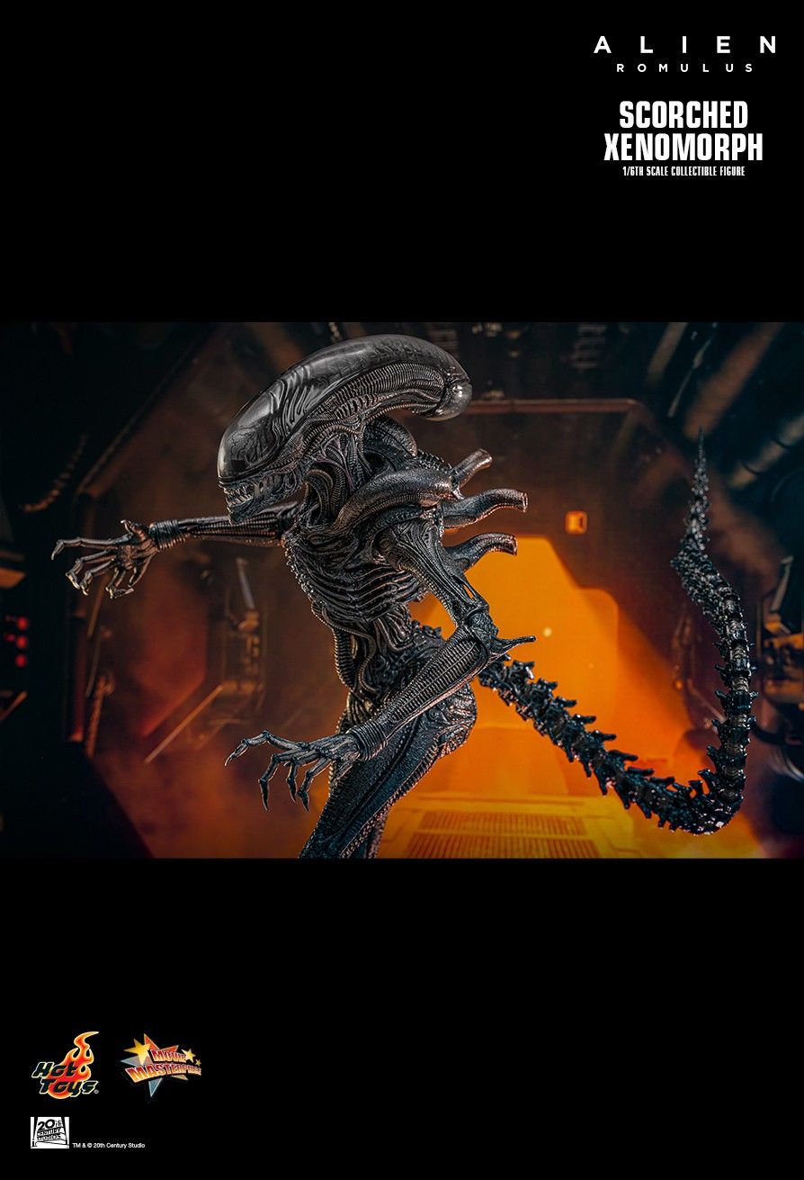 Hot Toys MMS784 - Alien : Romulus - Scorched Xenomorph【Pre-Order】