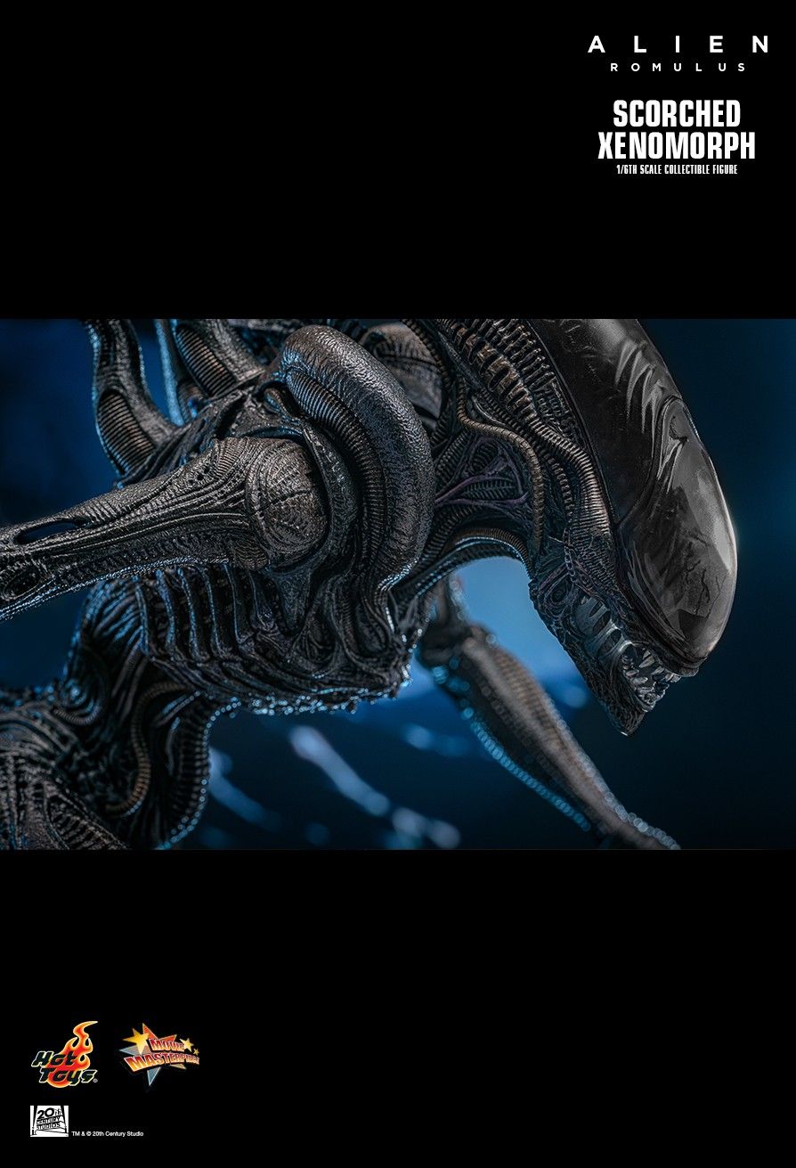 Hot Toys MMS784 - Alien : Romulus - Scorched Xenomorph【Pre-Order】