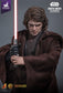 deposite Hot Toys DX47 - Star Wars III : Revenge Of The Sith - Darth Vader Sith Apprentice Nicolas Pizzera 2/4