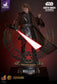 Hot Toys DX47B - Star Wars III : Revenge Of The Sith - Darth Vader Sith Apprentice