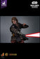 deposite Hot Toys DX47 - Star Wars III : Revenge Of The Sith - Darth Vader Sith Apprentice Nicolas Pizzera 2/4