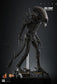 Hot Toys MMS826B - Alien - Big Chap 【Pre-Order】