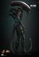 Hot Toys MMS826 - Alien - Big Chap 【Pre-Order】