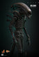 Hot Toys MMS826B - Alien - Big Chap 【Pre-Order】