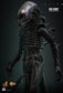 Hot Toys MMS826B - Alien - Big Chap 【Pre-Order】