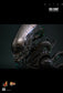Hot Toys MMS826B - Alien - Big Chap 【Pre-Order】