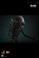 Hot Toys MMS826B - Alien - Big Chap 【Pre-Order】