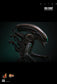 Hot Toys MMS826B - Alien - Big Chap 【Pre-Order】