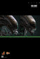 Hot Toys MMS826B - Alien - Big Chap 【Pre-Order】
