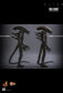 Hot Toys MMS826B - Alien - Big Chap 【Pre-Order】