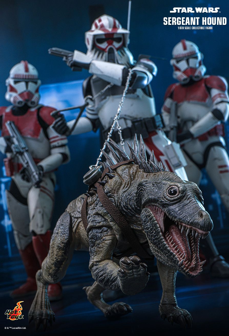 Hot Toys TMS167 - Star Wars : The Clone Wars - Sergeant Hound【Pre-Order】
